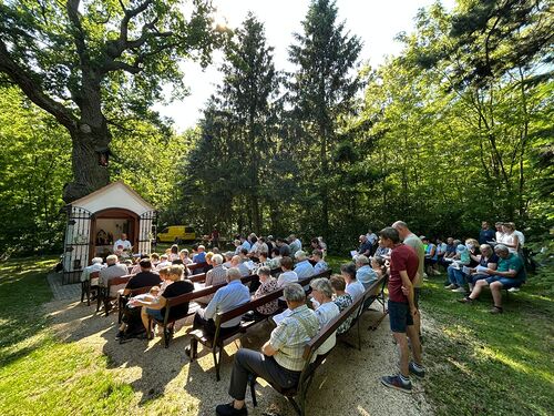 Maiandacht / © Pfarrverband Minoriten Weinviertel Maiandacht bei der Bildeichenkapelle
