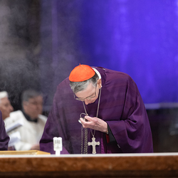 Erzdiözese Wien/ Schönlaub, Stephan Schönlaub