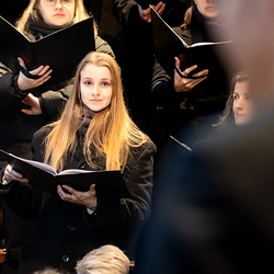 Stephanifest / Erzdiözese Wien/Schönlaub, Stephan Schönlaub