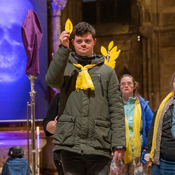 WDST 2024 im Stephansdom / Erzdiözese Wien/Schönlaub